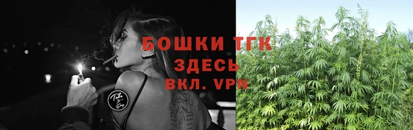 дживик Белоозёрский