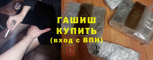 хмурый Белокуриха