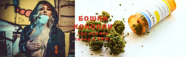 хмурый Белокуриха