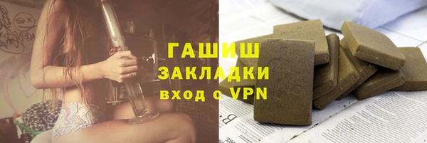 хмурый Белокуриха