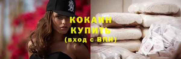 хмурый Белокуриха