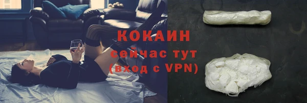 хмурый Белокуриха