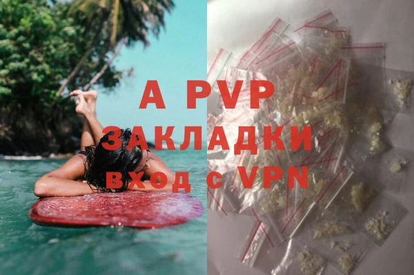 спиды Беломорск