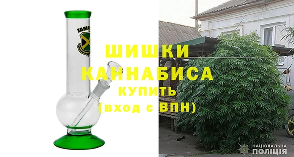 хмурый Белокуриха