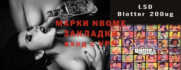 хмурый Белокуриха