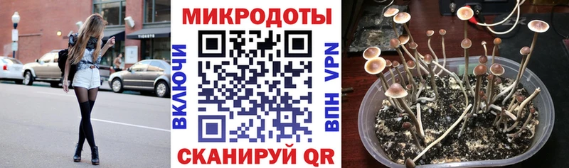 Галлюциногенные грибы Cubensis kraken как зайти Высоковск